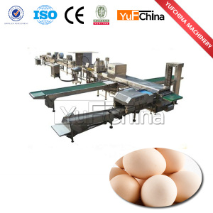 Egg Grading Sorting Machine for Egg Processing Factory
