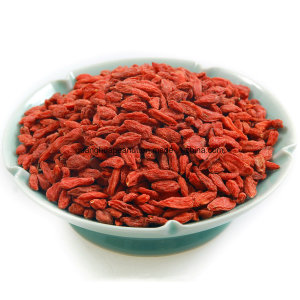 Hot Sale Dried Goji Berry From China