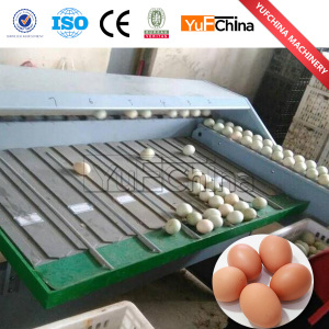 New Design Hot Sale Egg Grading Machine